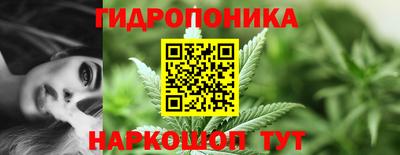 тгк Будённовск